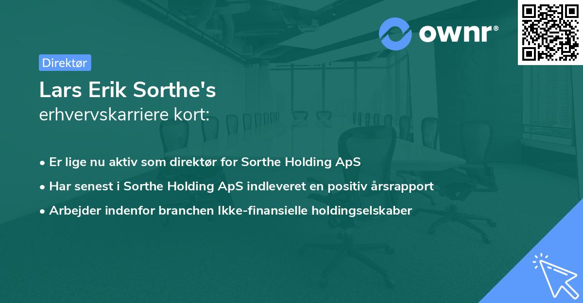 Lars Erik Sorthe's erhvervskarriere kort