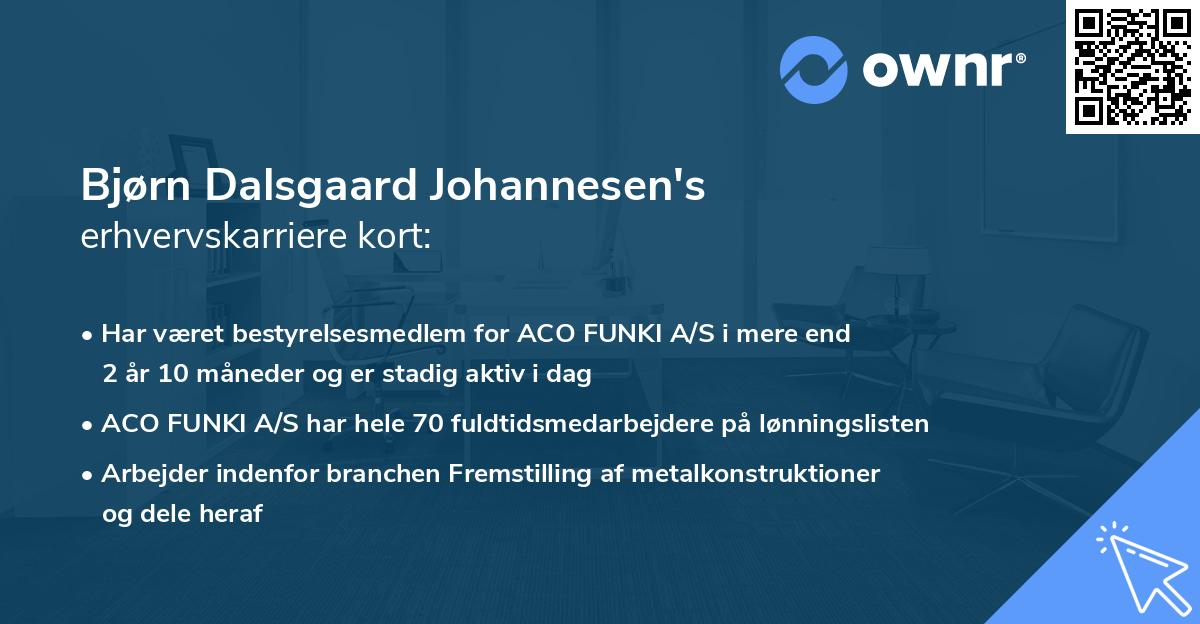 Bjørn Dalsgaard Johannesen's erhvervskarriere kort