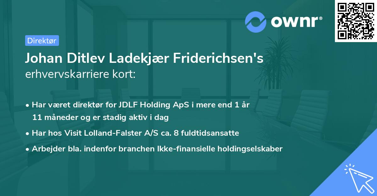Johan Ditlev Ladekjær Friderichsen's erhvervskarriere kort