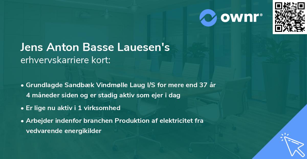 Jens Anton Basse Lauesen's erhvervskarriere kort