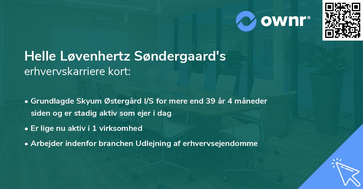 Helle Løvenhertz Søndergaard's erhvervskarriere kort