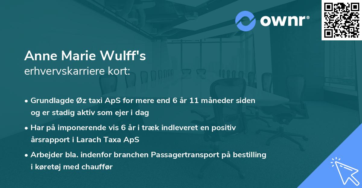 Anne Marie Wulff's erhvervskarriere kort
