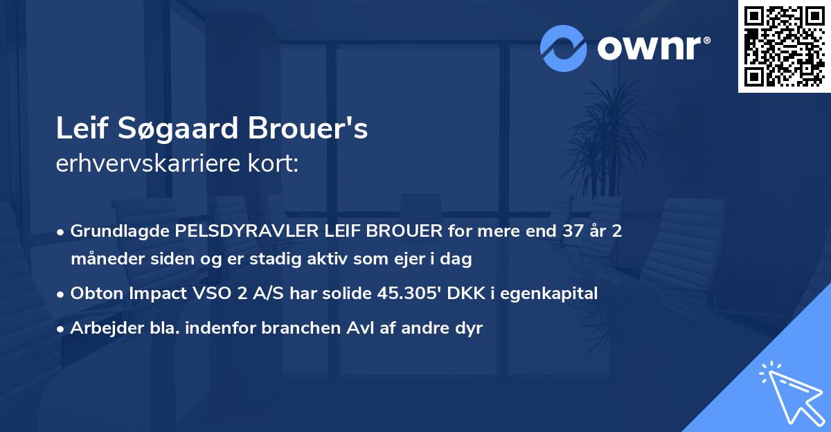 Leif Søgaard Brouer's erhvervskarriere kort