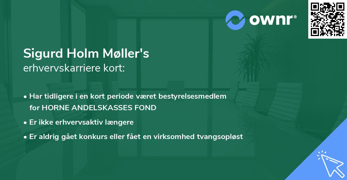 Sigurd Holm Møller's erhvervskarriere kort
