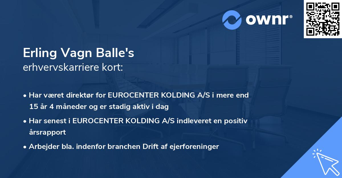 Erling Vagn Balle's erhvervskarriere kort