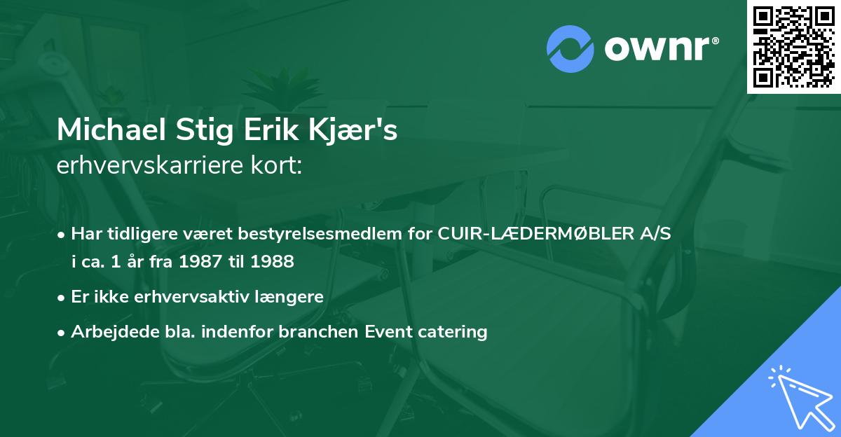 Michael Stig Erik Kjær's erhvervskarriere kort