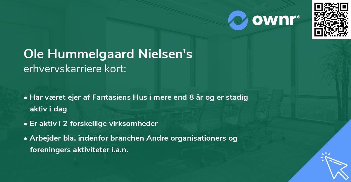 Ole Hummelgaard Nielsen's erhvervskarriere kort