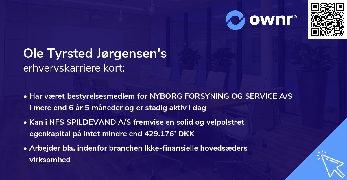 Ole Tyrsted Jørgensen's erhvervskarriere kort