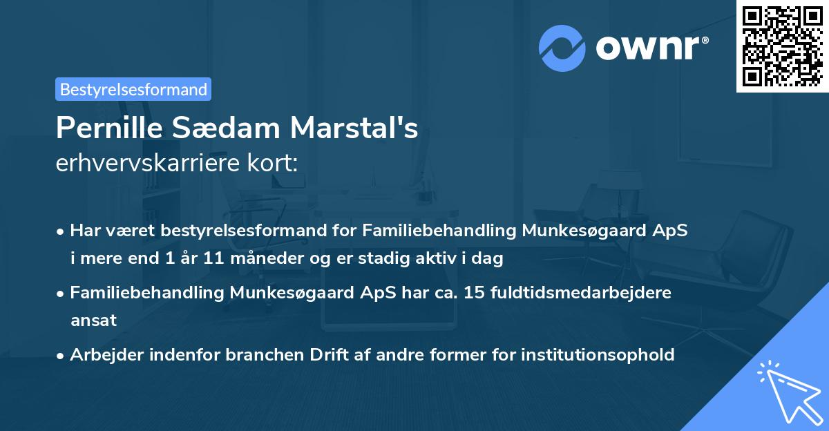 Pernille Sædam Marstal's erhvervskarriere kort