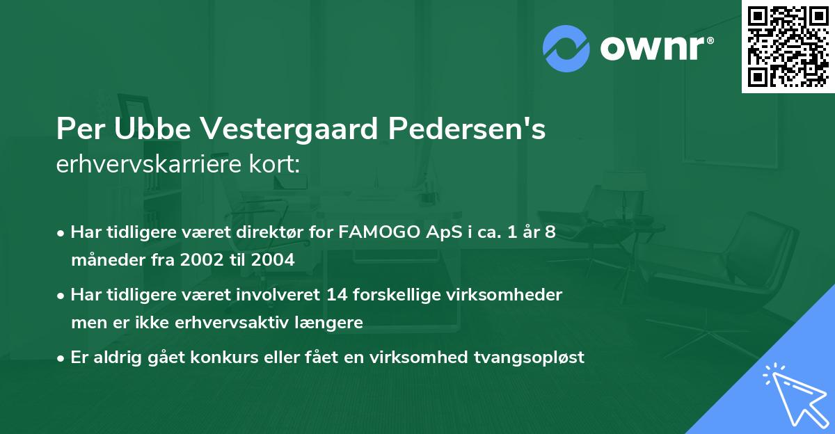 Per Ubbe Vestergaard Pedersen's erhvervskarriere kort