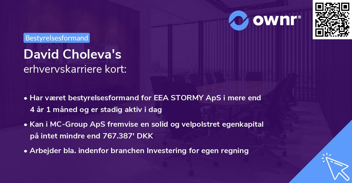 David Choleva's erhvervskarriere kort