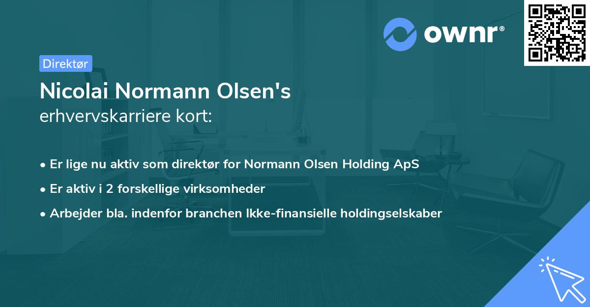 Nicolai Normann Olsen's erhvervskarriere kort