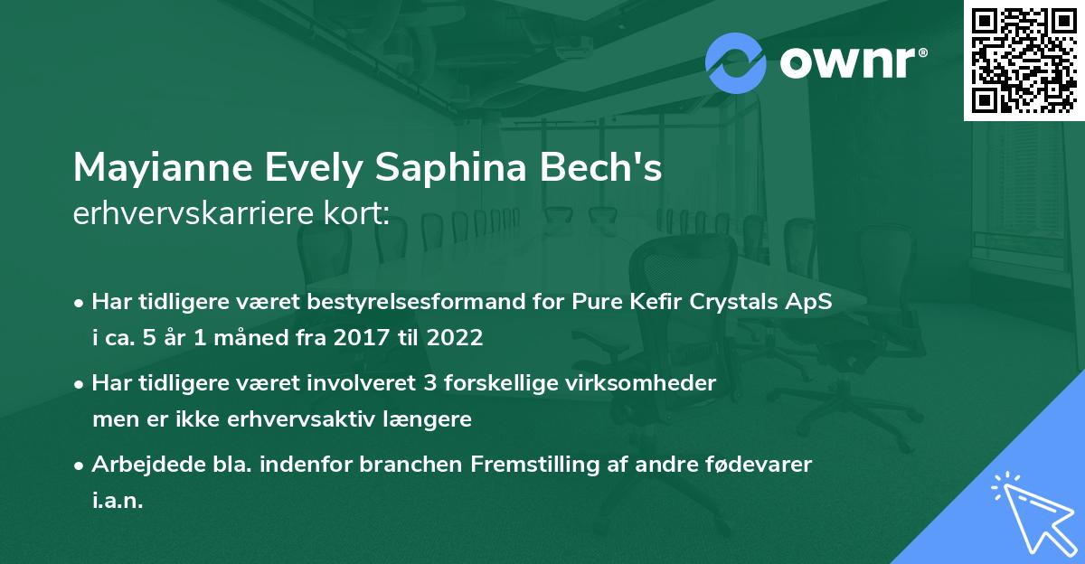 Mayianne Evely Saphina Bech's erhvervskarriere kort