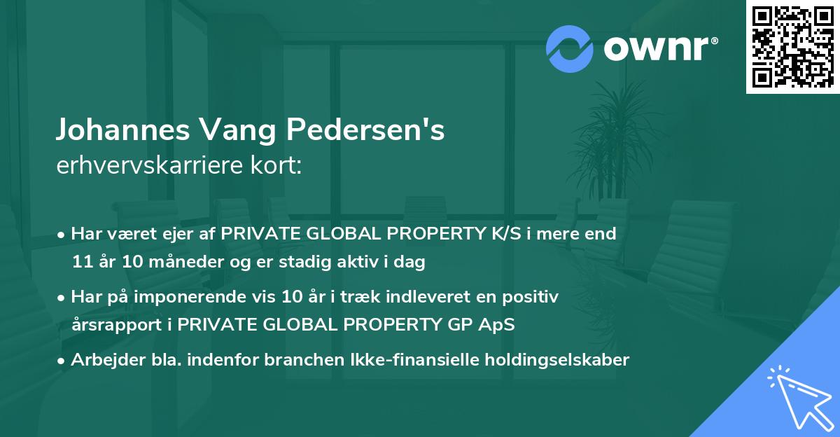 Johannes Vang Pedersen's erhvervskarriere kort