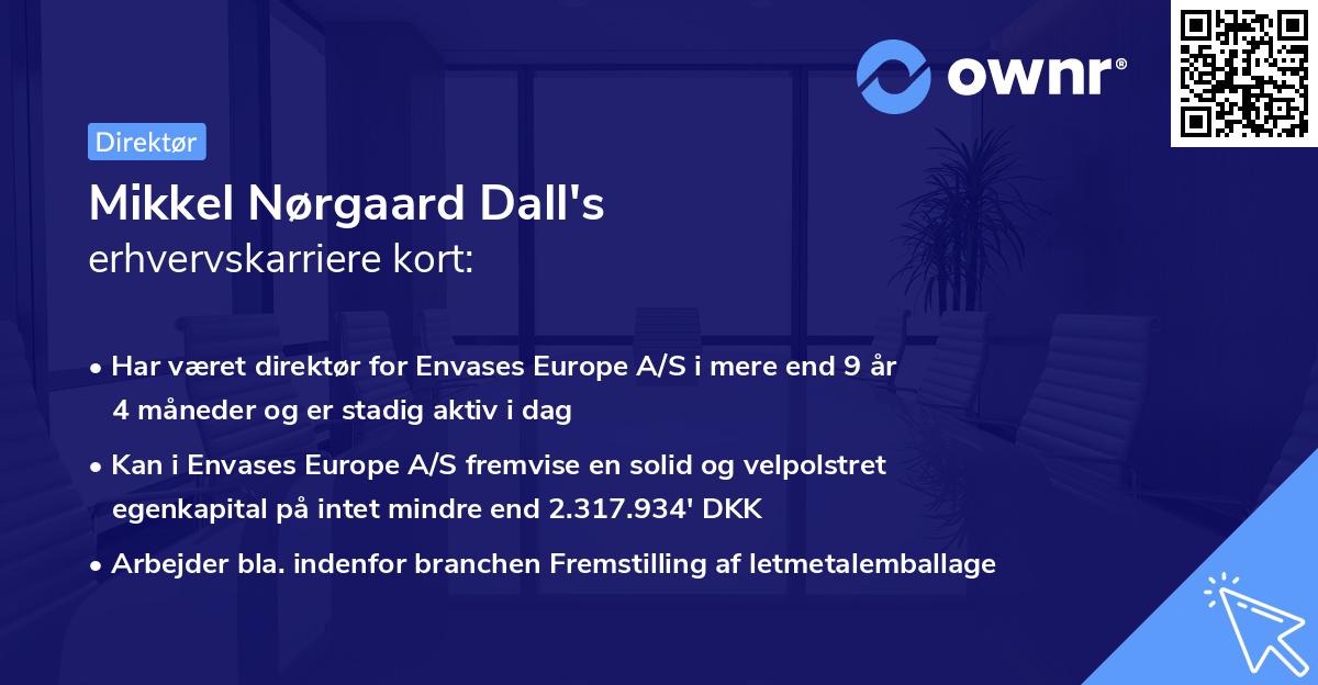 Mikkel Nørgaard Dall's erhvervskarriere kort