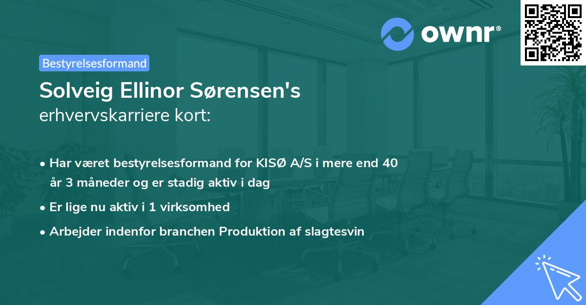 Solveig Ellinor Sørensen's erhvervskarriere kort
