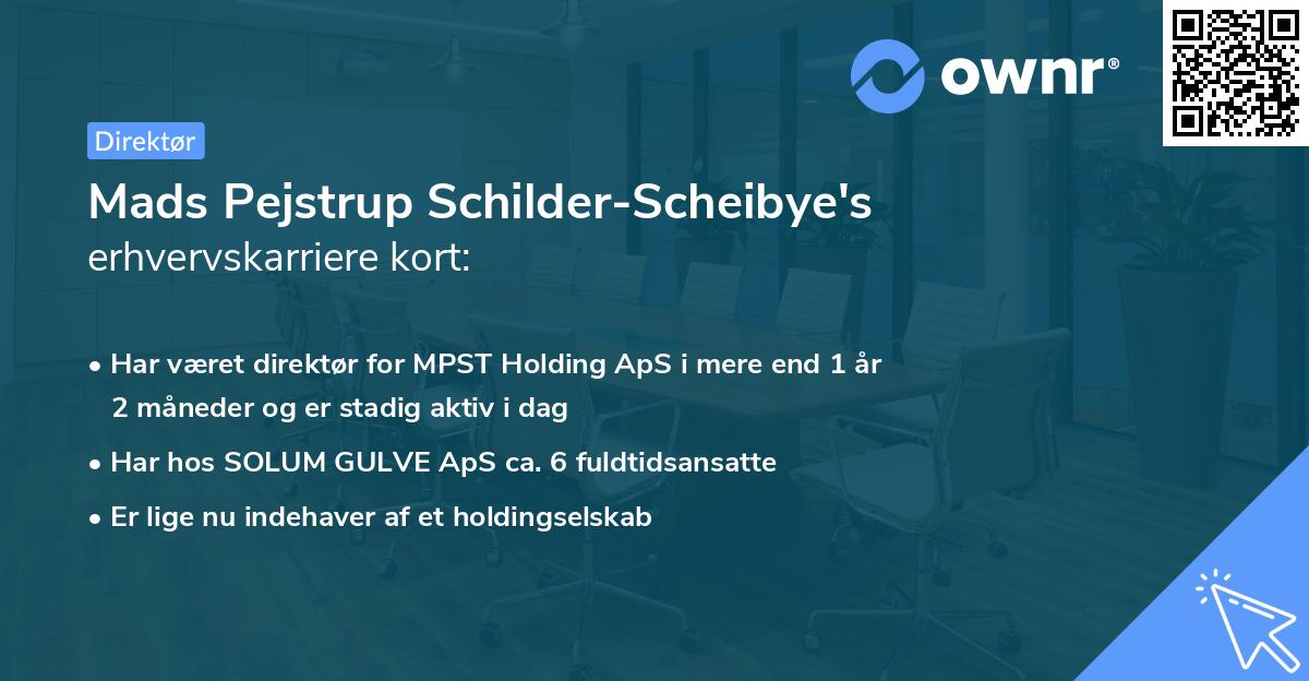 Mads Pejstrup Schilder-Scheibye's erhvervskarriere kort