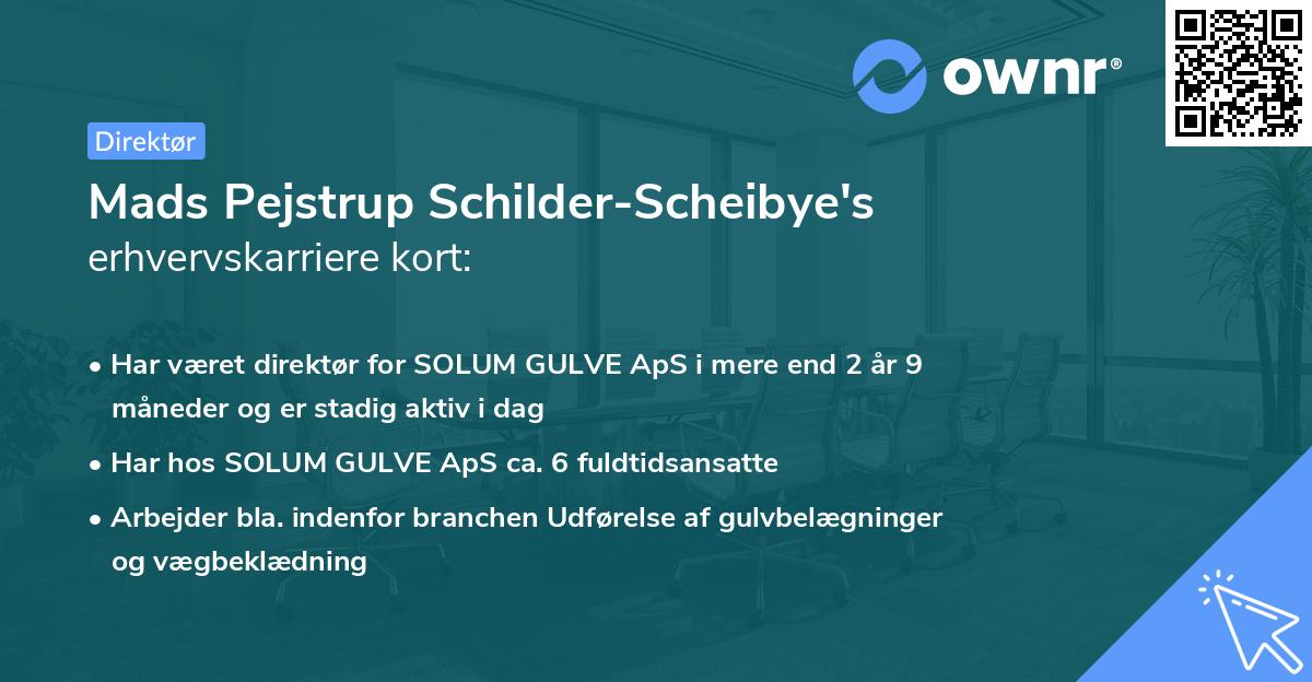 Mads Pejstrup Schilder-Scheibye's erhvervskarriere kort