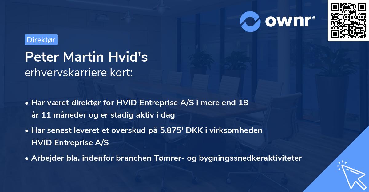 Peter Martin Hvid's erhvervskarriere kort