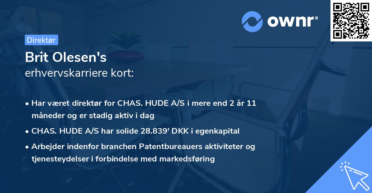 Brit Olesen's erhvervskarriere kort