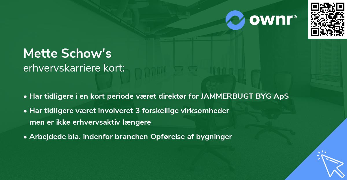 Mette Schow's erhvervskarriere kort