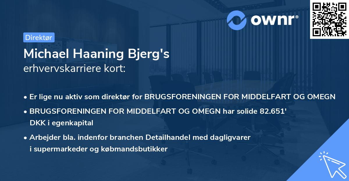 Michael Haaning Bjerg's erhvervskarriere kort