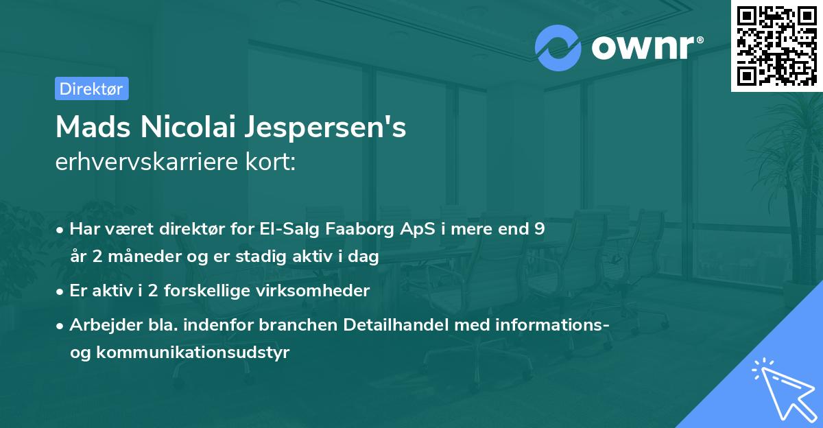 Mads Nicolai Jespersen's erhvervskarriere kort