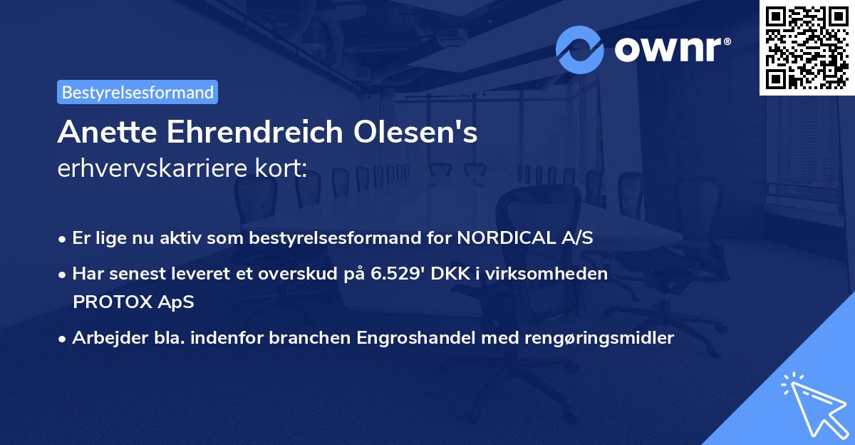 Anette Ehrendreich Olesen's erhvervskarriere kort