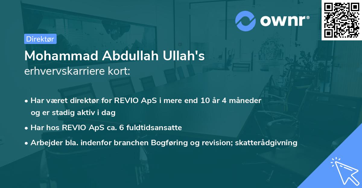 Mohammad Abdullah Ullah's erhvervskarriere kort