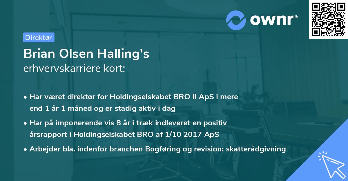 Brian Olsen Halling's erhvervskarriere kort