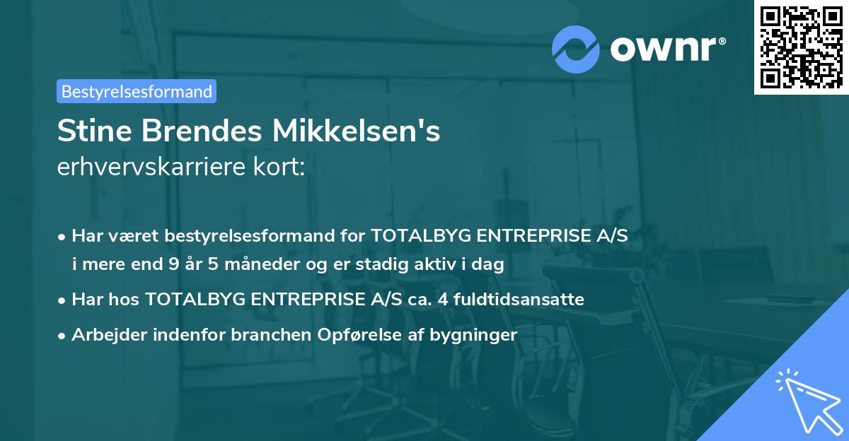Stine Brendes Mikkelsen's erhvervskarriere kort