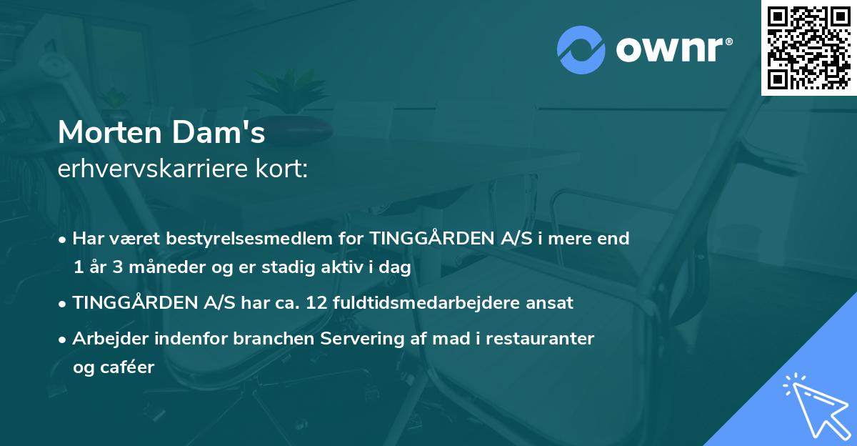 Morten Dam's erhvervskarriere kort
