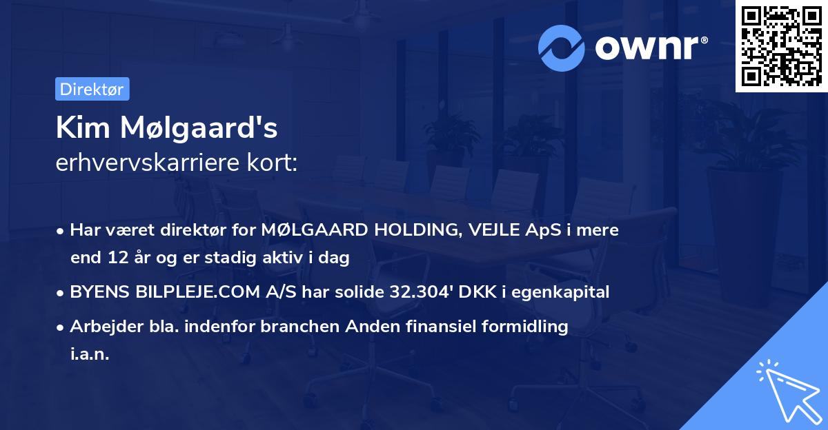 Kim Mølgaard's erhvervskarriere kort