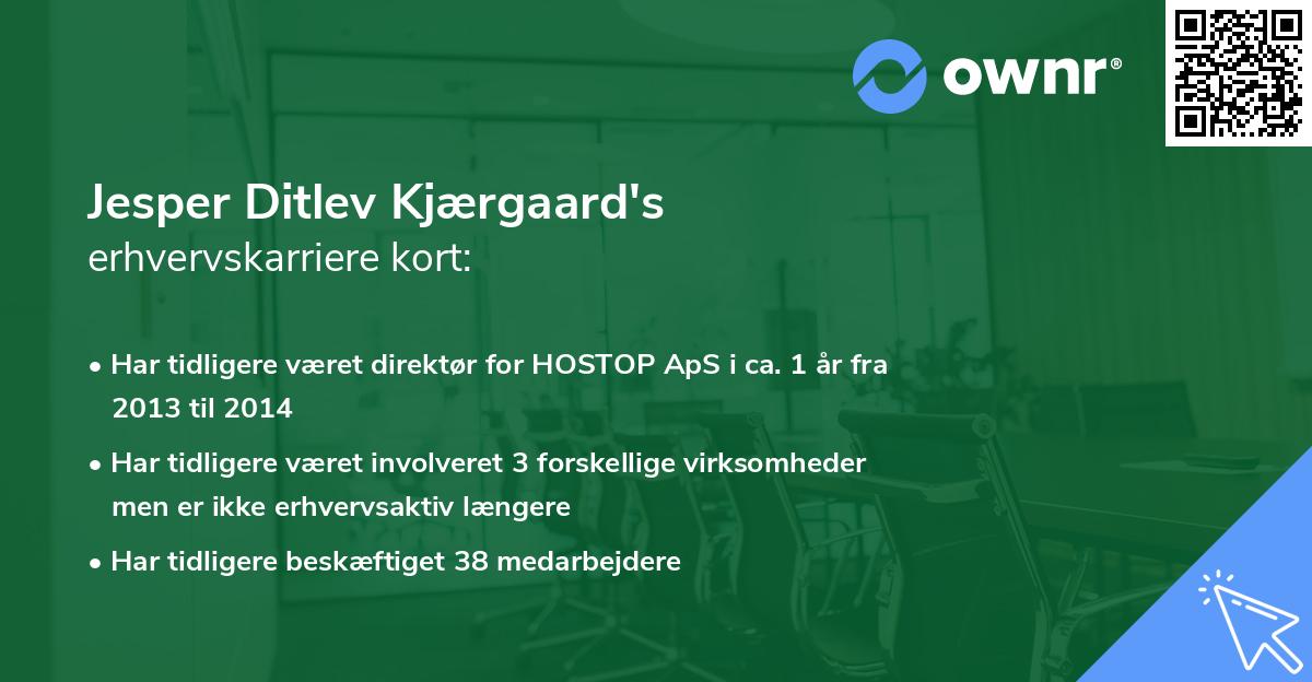 Jesper Ditlev Kjærgaard's erhvervskarriere kort