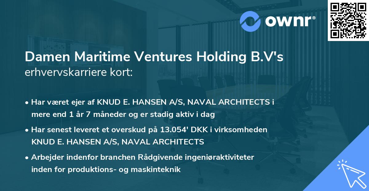 Damen Maritime Ventures Holding B.V's erhvervskarriere kort