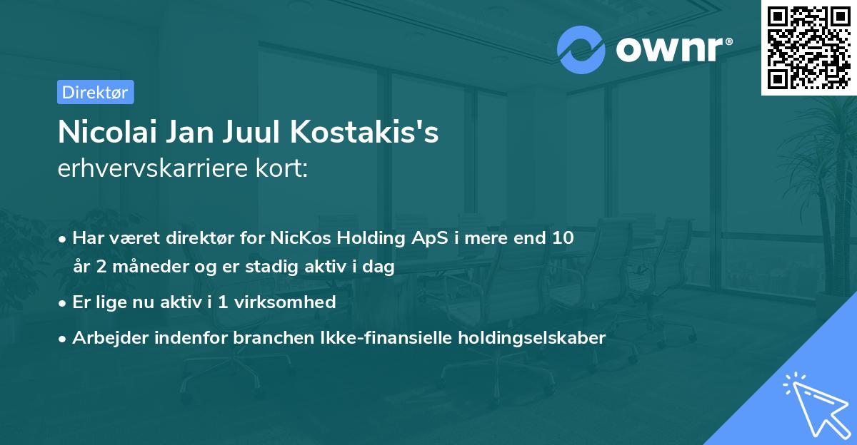 Nicolai Jan Juul Kostakis's erhvervskarriere kort