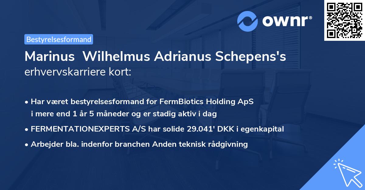 Marinus  Wilhelmus Adrianus Schepens's erhvervskarriere kort