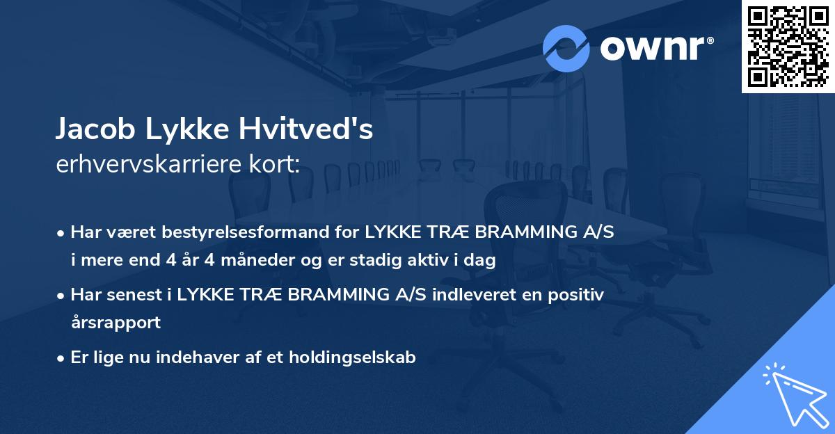 Jacob Lykke Hvitved's erhvervskarriere kort