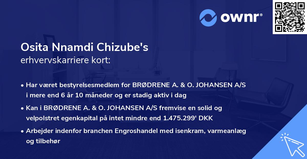 Osita Nnamdi Chizube's erhvervskarriere kort