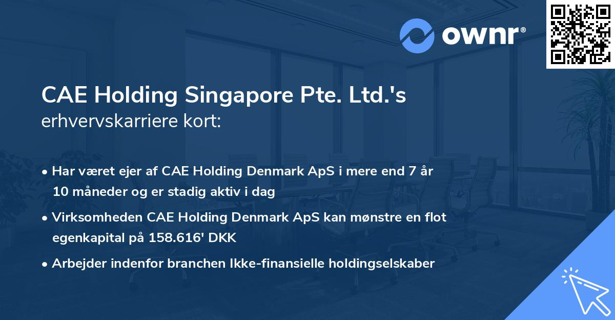CAE Holding Singapore Pte. Ltd.'s erhvervskarriere kort
