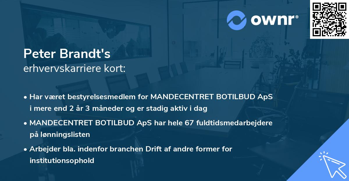 Peter Brandt's erhvervskarriere kort