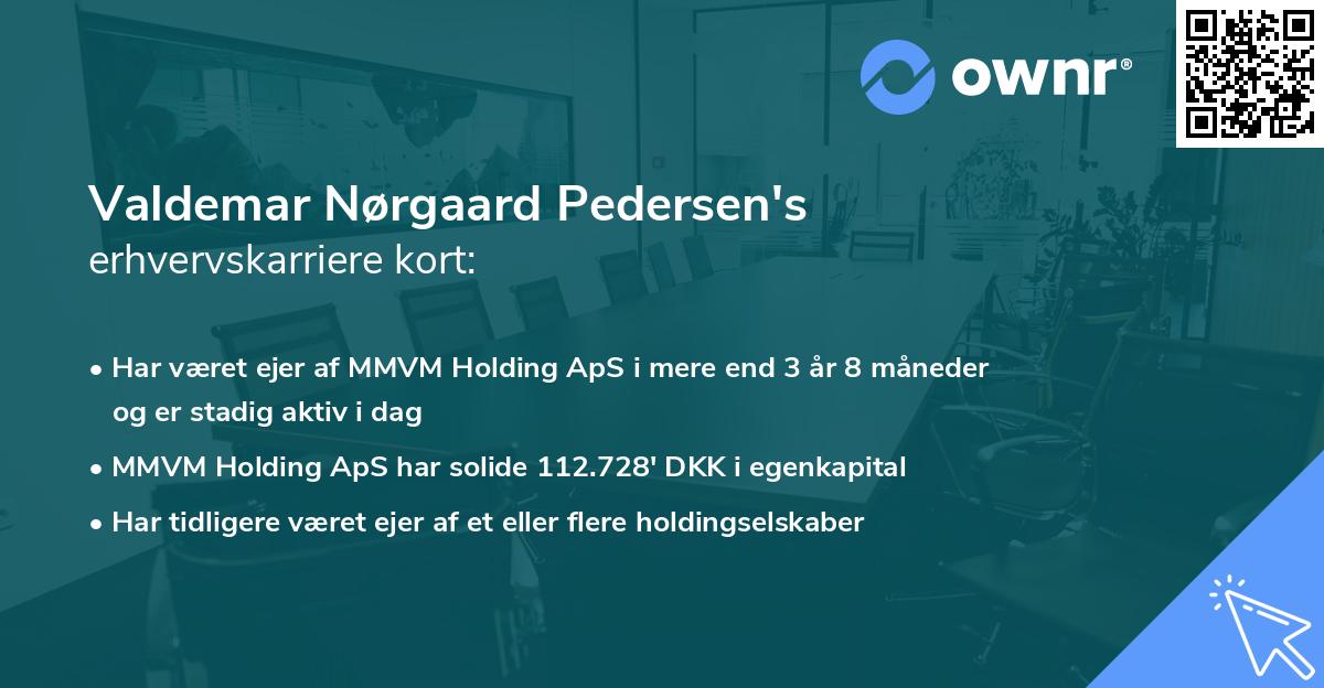 Valdemar Nørgaard Pedersen's erhvervskarriere kort