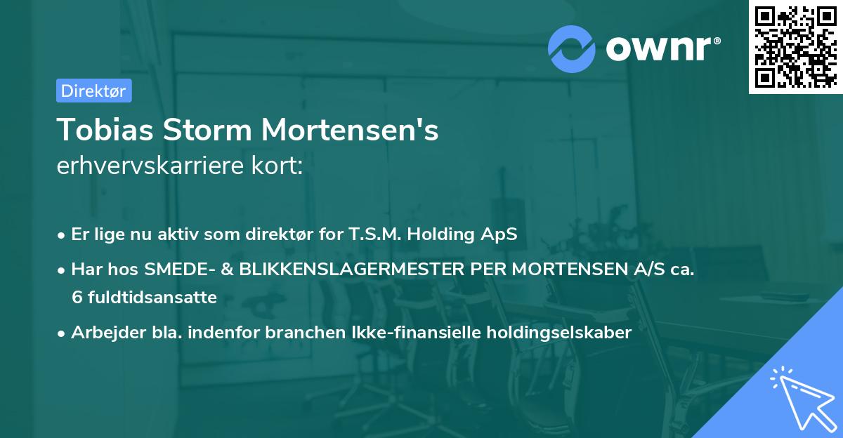 Tobias Storm Mortensen's erhvervskarriere kort