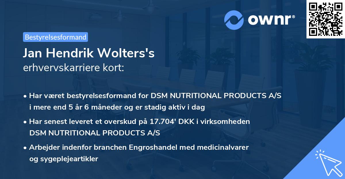 Jan Hendrik Wolters's erhvervskarriere kort