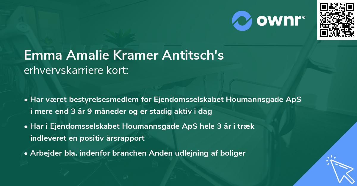 Emma Amalie Kramer Antitsch's erhvervskarriere kort