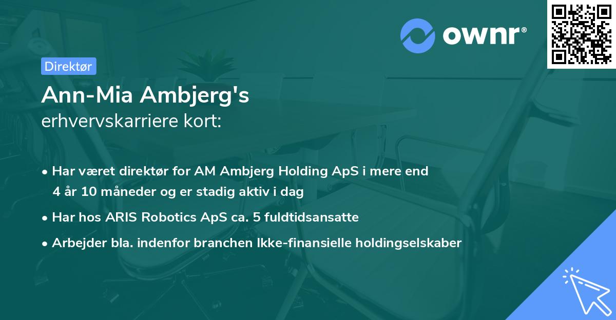 Ann-Mia Ambjerg's erhvervskarriere kort