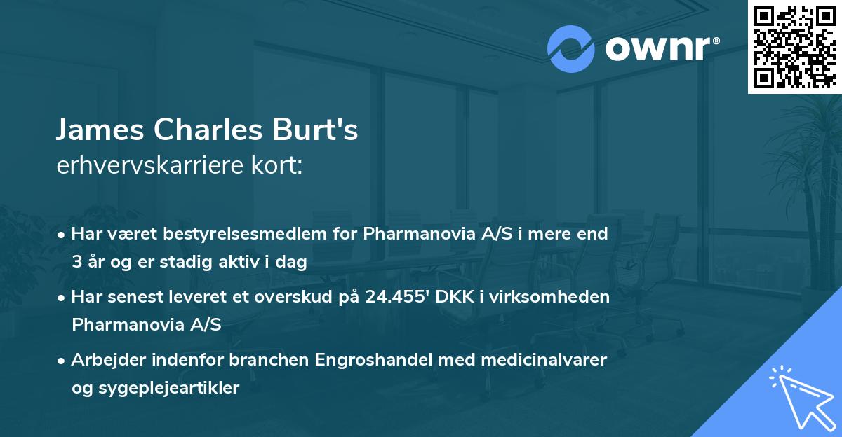 James Charles Burt's erhvervskarriere kort