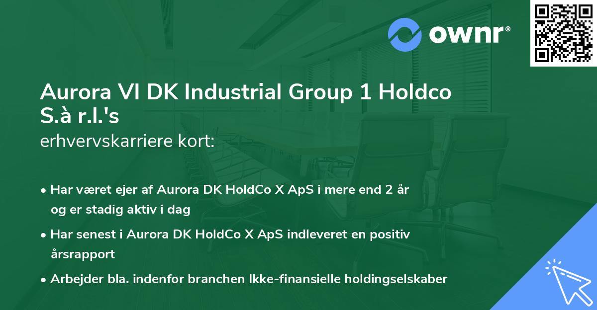 Aurora VI DK Industrial Group 1 Holdco S.à r.l.'s erhvervskarriere kort