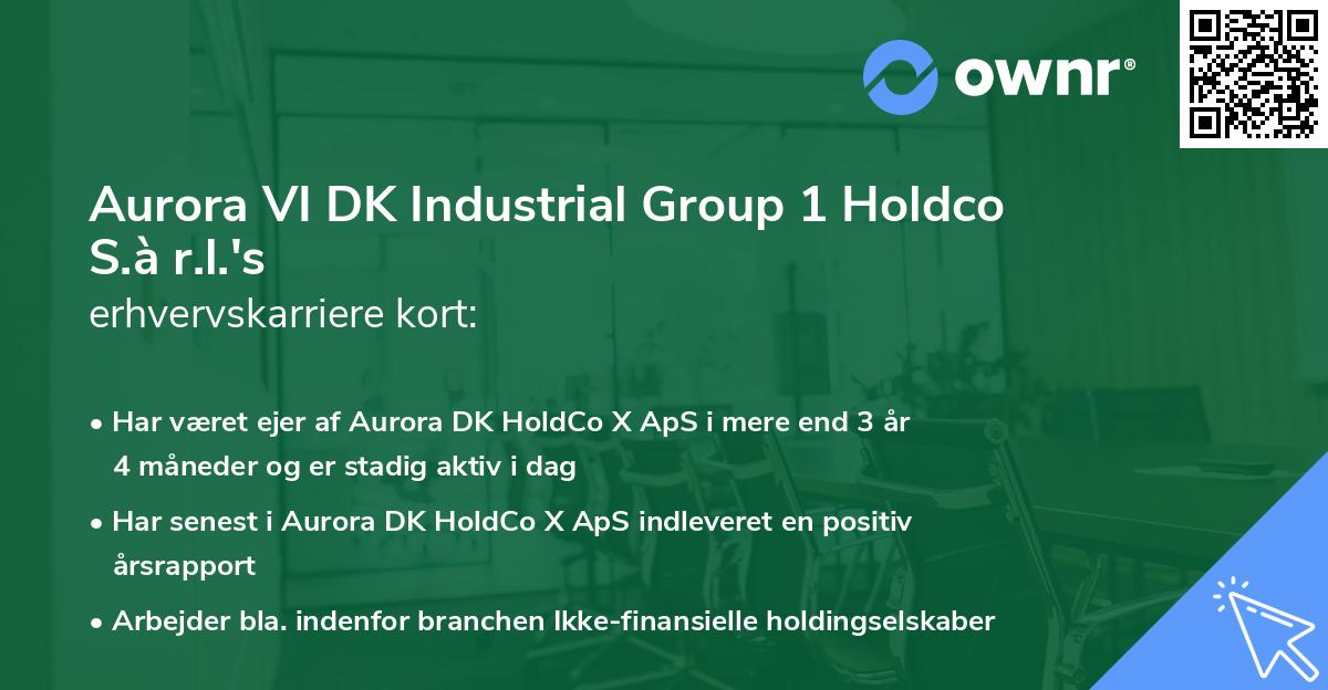 Aurora VI DK Industrial Group 1 Holdco S.à r.l.'s erhvervskarriere kort