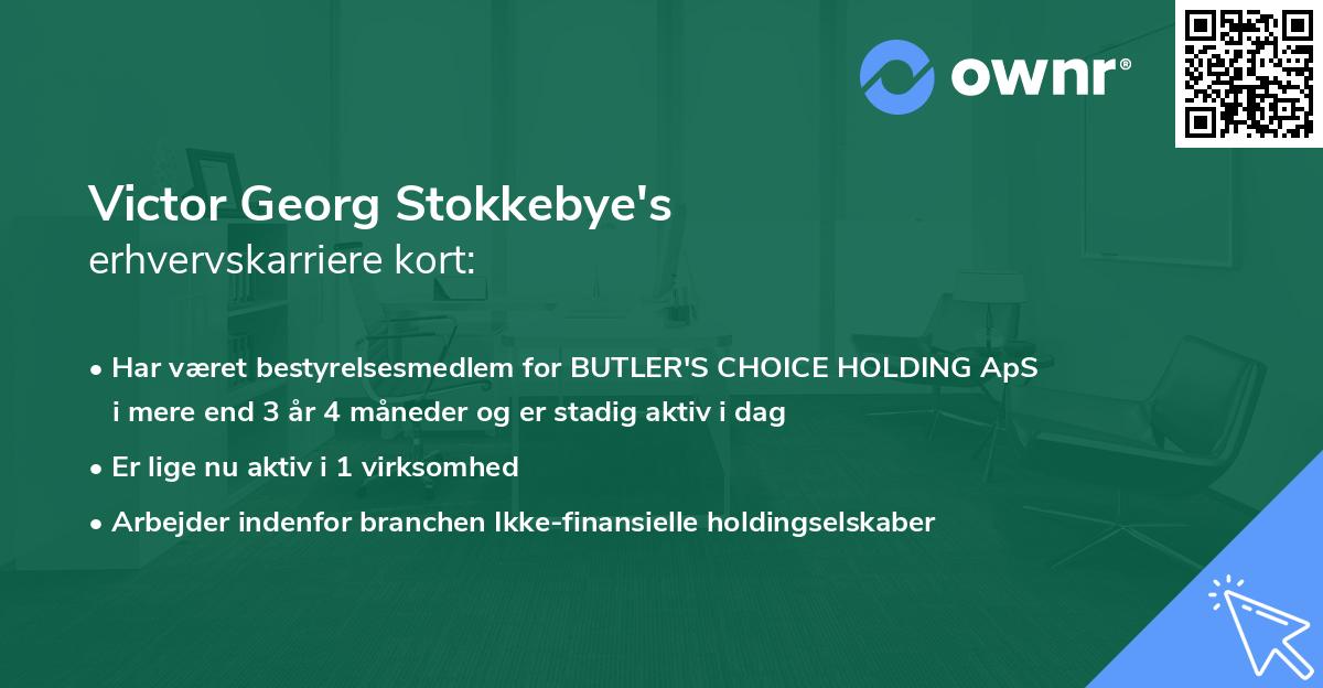 Victor Georg Stokkebye's erhvervskarriere kort